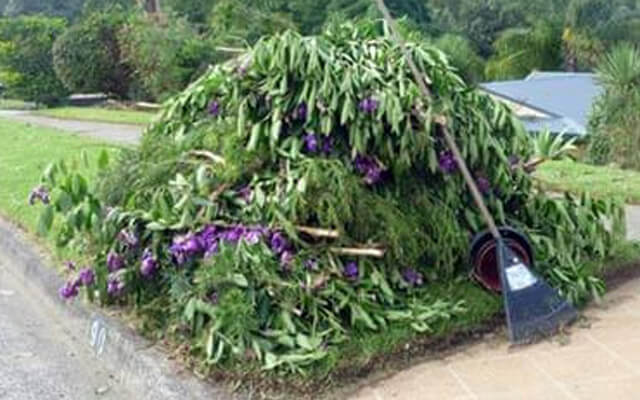 Green waste skip bin hire Melbourne